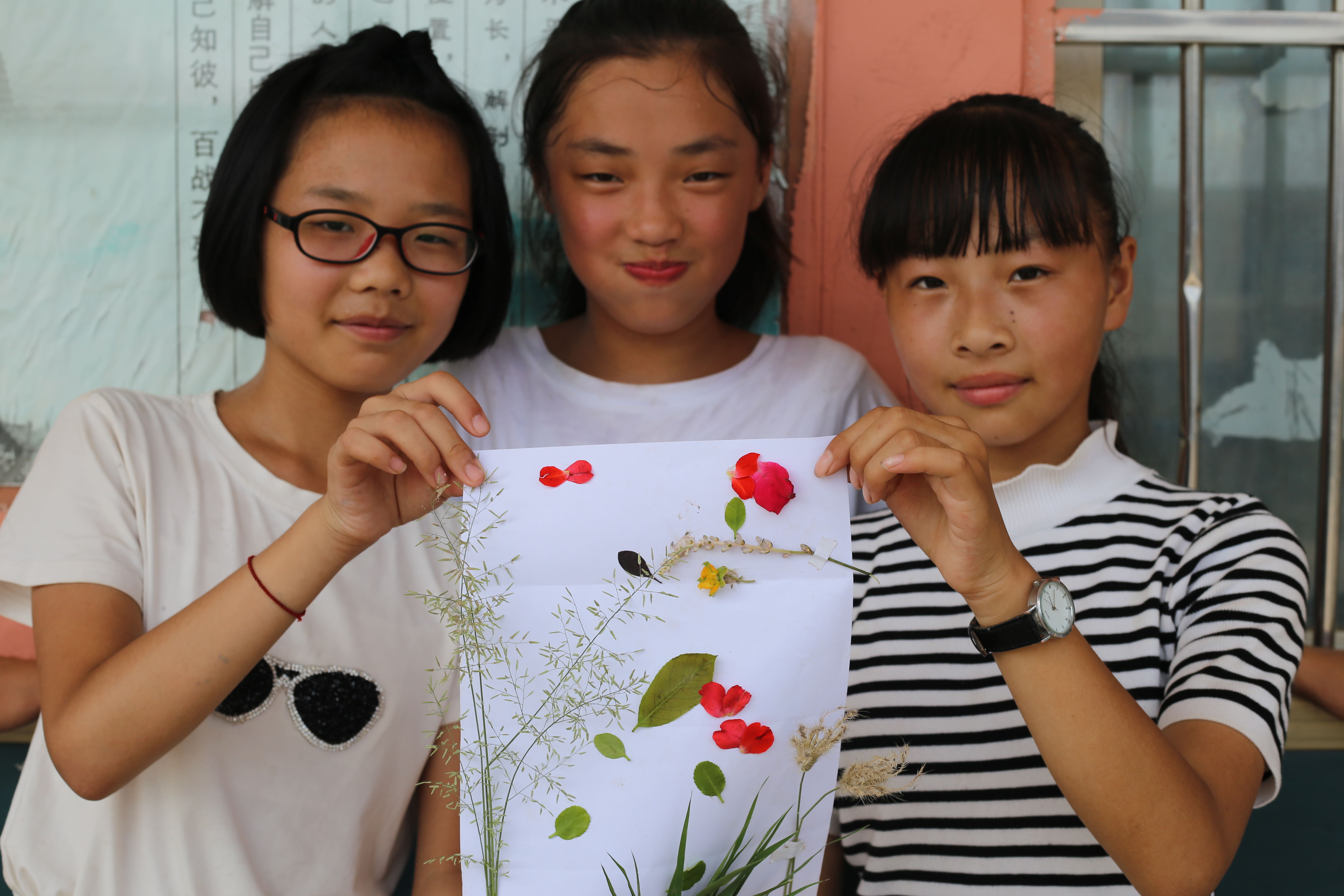 暑假社会实践之"心系三农,支教下乡——安阳县辛村一中"第八期